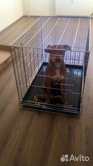 Вольер для собак бу