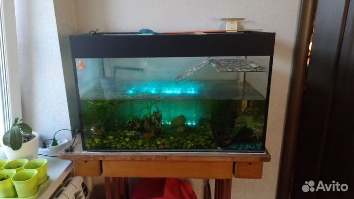 Аквариум
