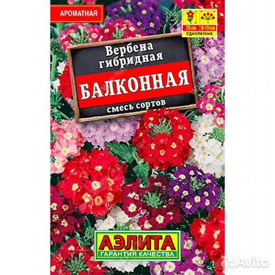 Вербена Балконная смесь