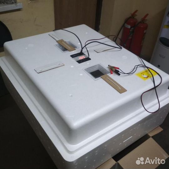 Инкубаторы несушка