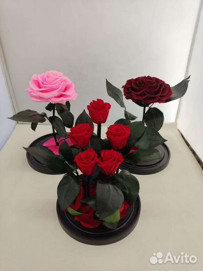 Роза в колбе оптом и в розницу