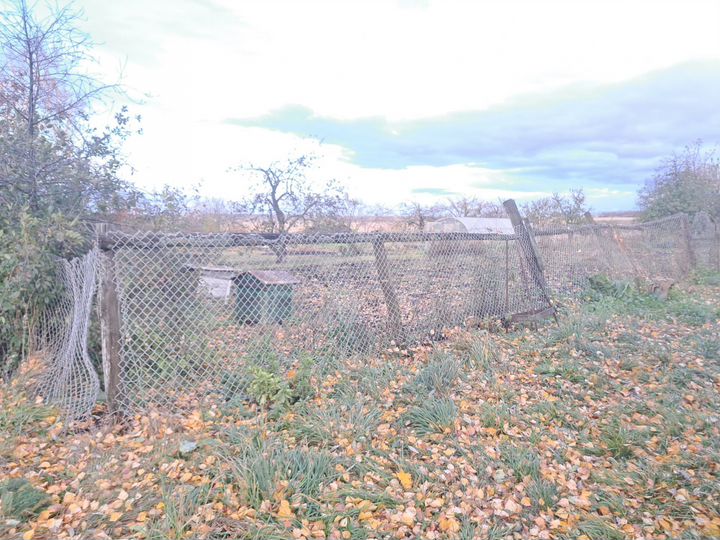 Дом 38 м² на участке 35 сот.