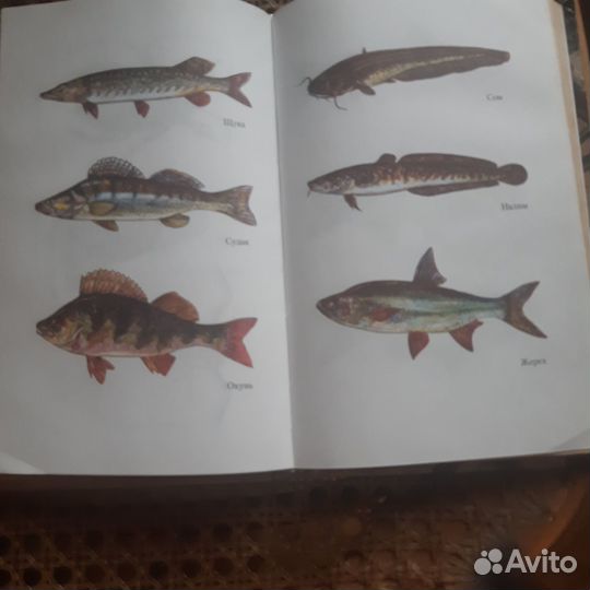 Книги о рыбалке для детей