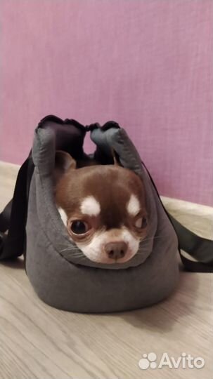 Сумка переноска для животных