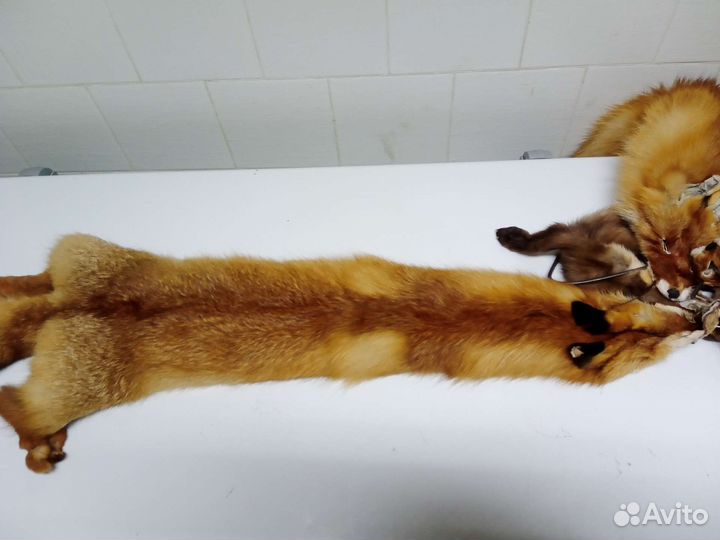 Шкуры лисы выделанные