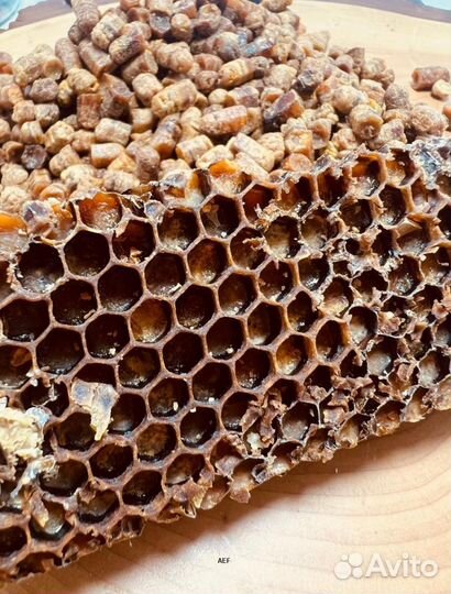 Перга из Алтая