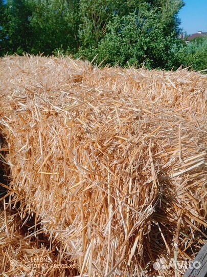 Солома в тюках 2024 года