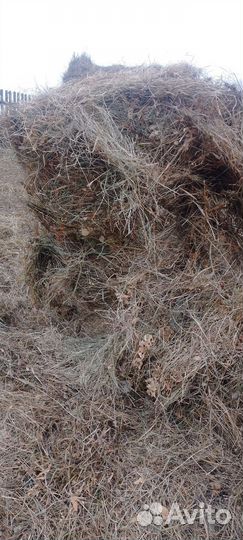 Сено в рулонах 2023года