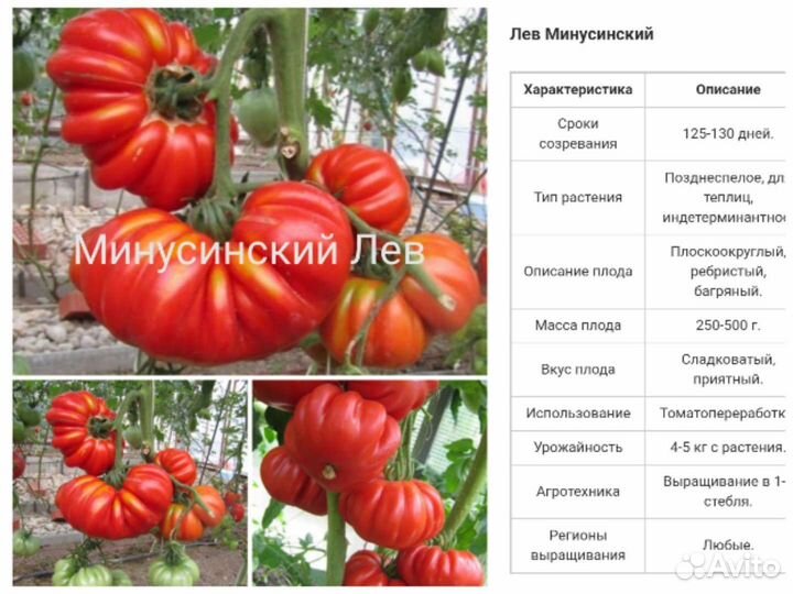 Семена Минусинских томатов