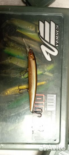 Imakatsu dardo 115 sp