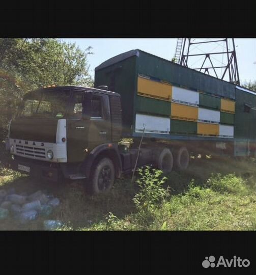 Пчелопавельон пчёлы