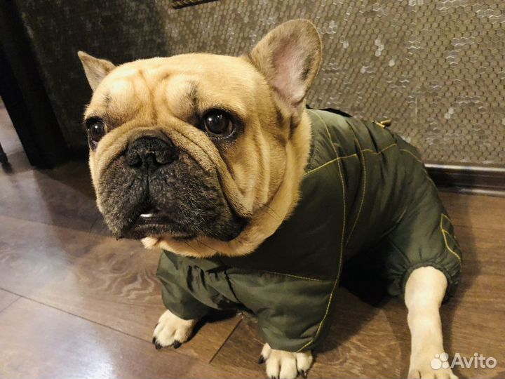 Утеплённый комбинезон