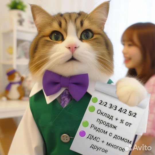 Продавец (без опыта) г. Ижевск все районы