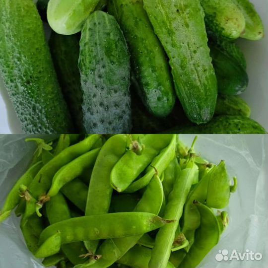 Огурцы, горох (зелёный горошек)