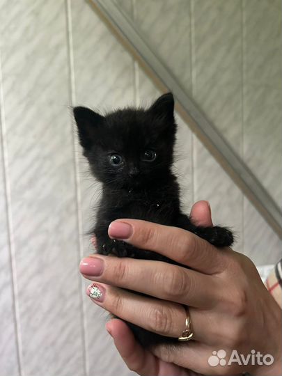 Лучики Солнца и подарки судьбы в дар