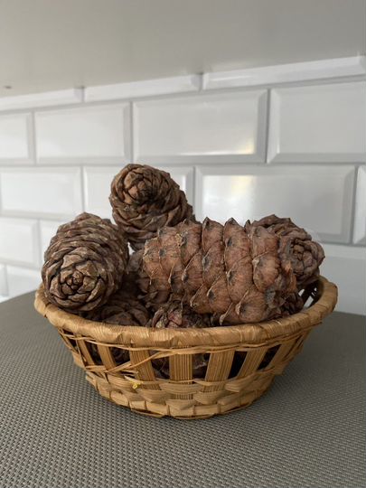 Квартира-студия, 32 м², 2/5 эт.