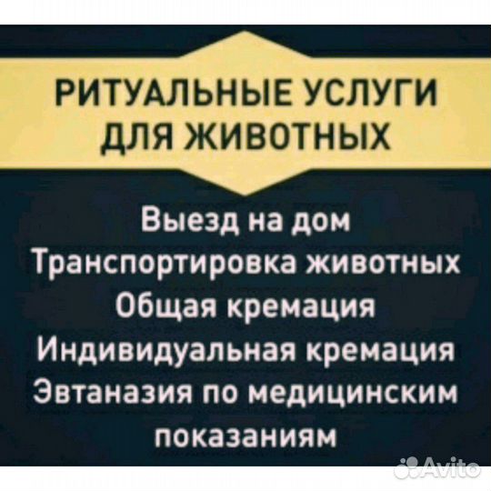 Эвтаназия Усыпление Кремация Захоронение