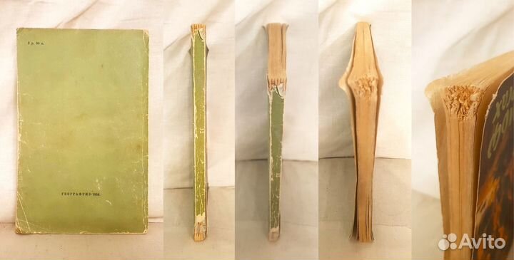 Сетон-Томпсон Э. Рольф в лесах -1958 илл