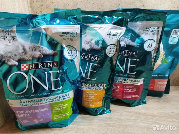 Сухой и влажный корм для кошек котов котят