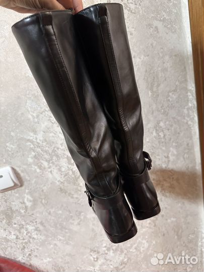 Сапоги осень весна женские