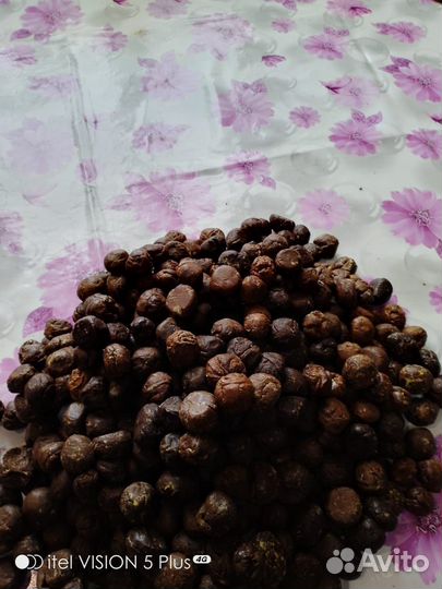 Продаются перга и прополис