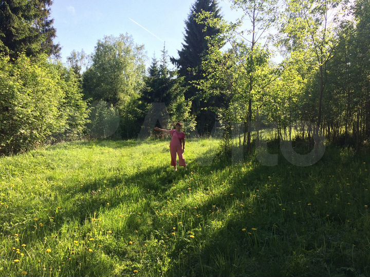 Участок 50 сот. (ИЖС)