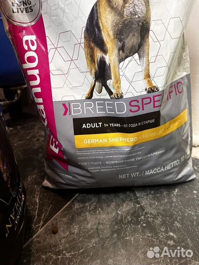 Сухой корм для собак