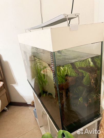 Аквариум