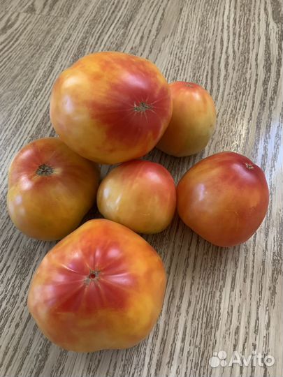 Семена коллекционных, сортовых томатов