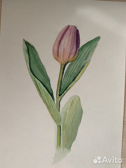 Картина акварель цветы