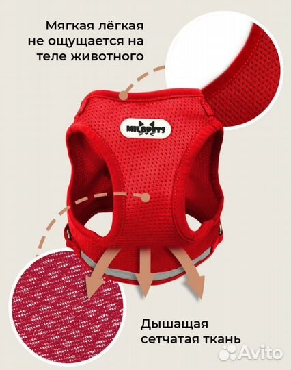 Шлейка для собак и кошек анатомическая