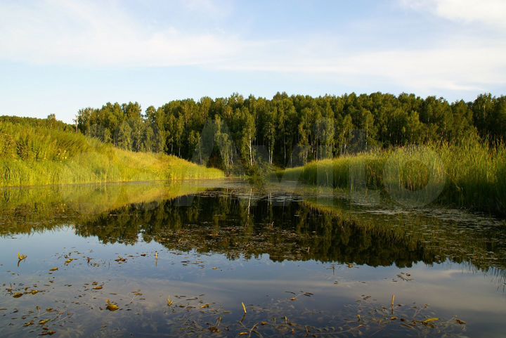 Участок 5,4 га (СНТ, ДНП)