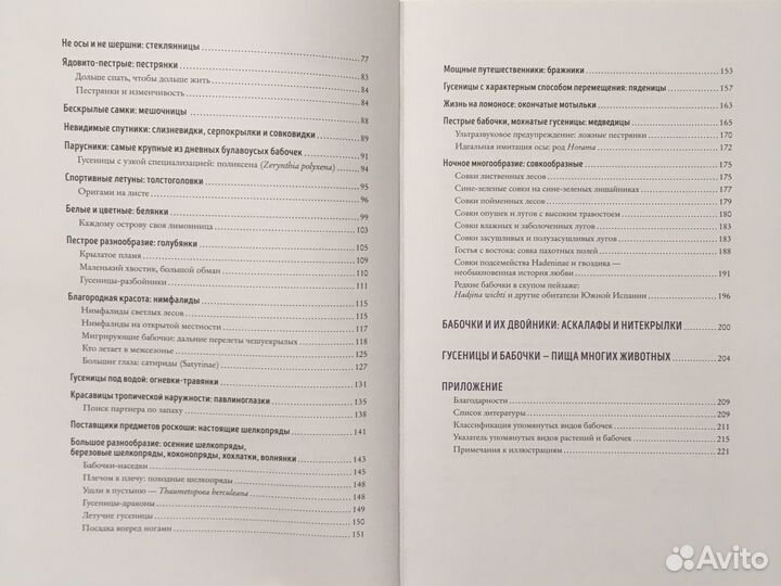 Иоганн Брандштеттер, Эльке Циппель, «Бабочки»