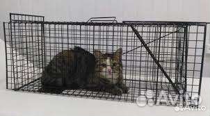 Кошколовка котоловка клетка