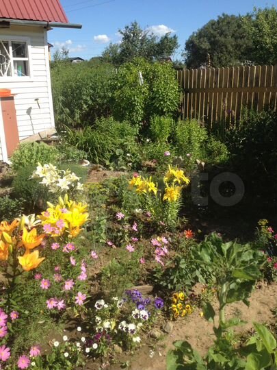 Дача 36 м² на участке 6 сот.