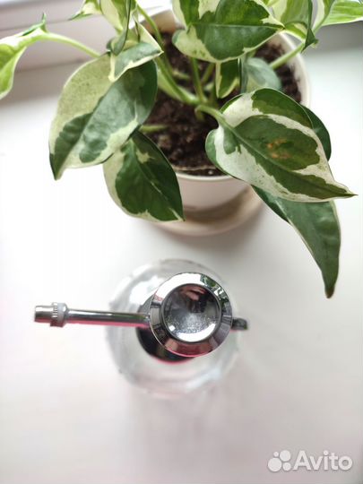 Опрыскиватель пульверизатор Икеа Сесамфрен