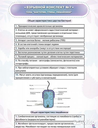 Конспекты по биологии Boomstudy