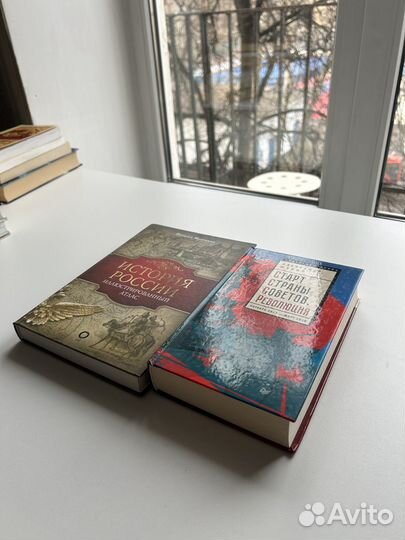 История россии Иртенина Шубин