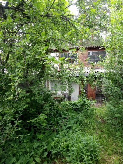 Дача 24 м² на участке 6 сот.