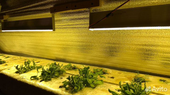Светодиодный светильник для выращивания растений