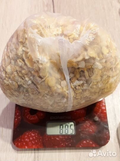 Лакомство для грызунов Плющеная кукуруза