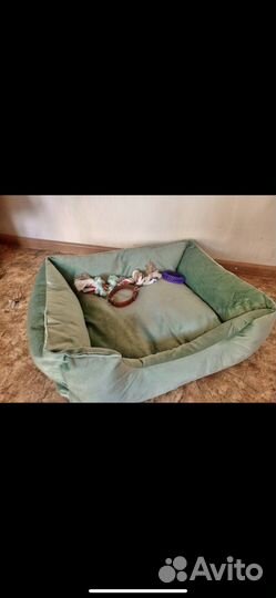 Вещи для животных