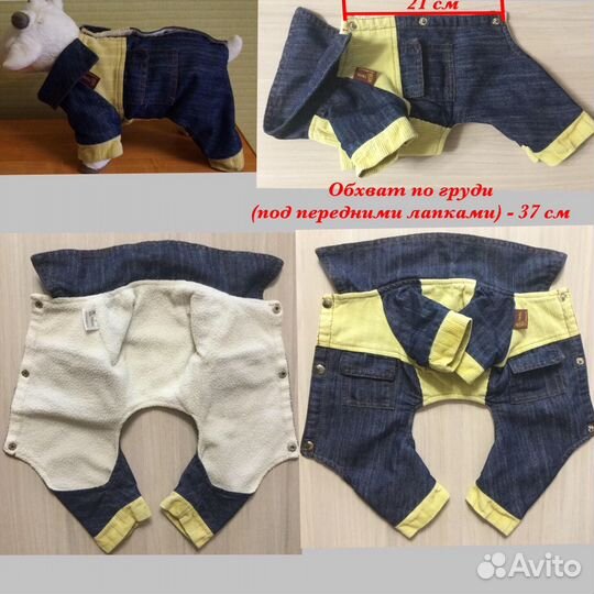 Одежда для собак