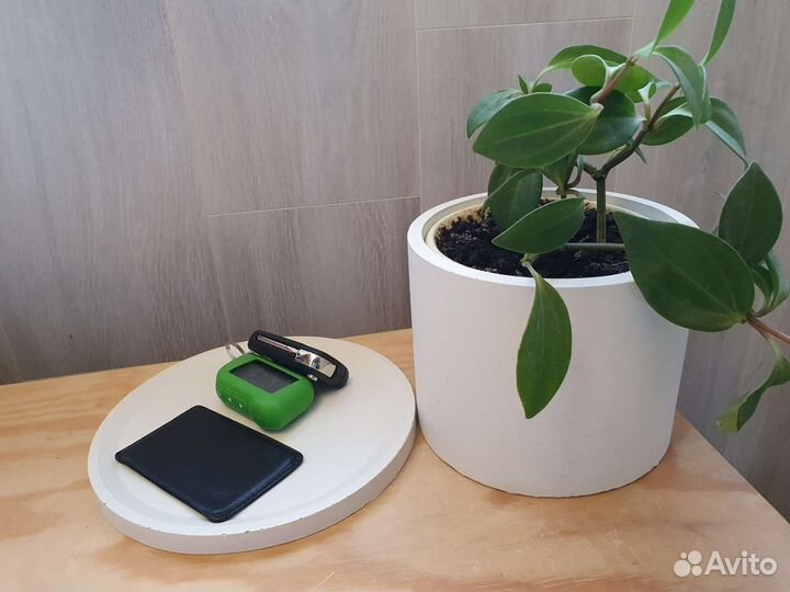 Интерьерные композиции, кашпо из бетона