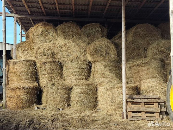 Продажа сена
