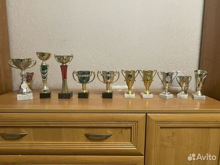 Кубки наградные