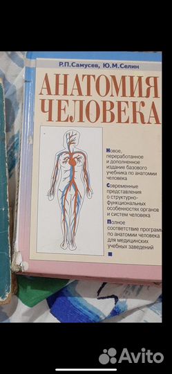 Анатомия человека самусев