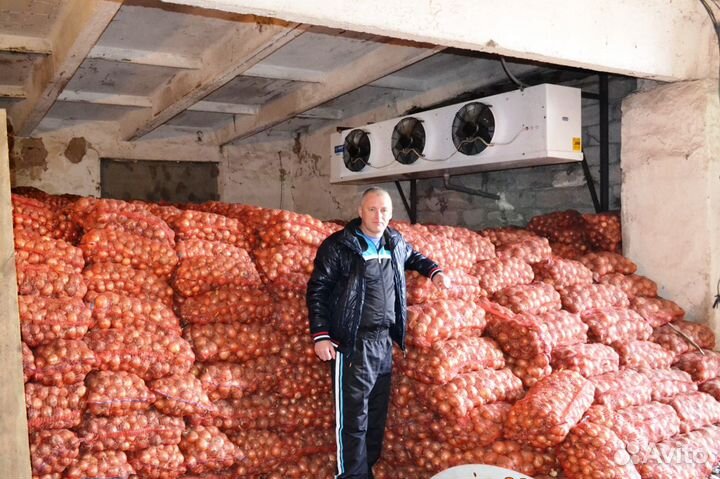 Овощехранилища с Холодильными Агрегатами под Ключ