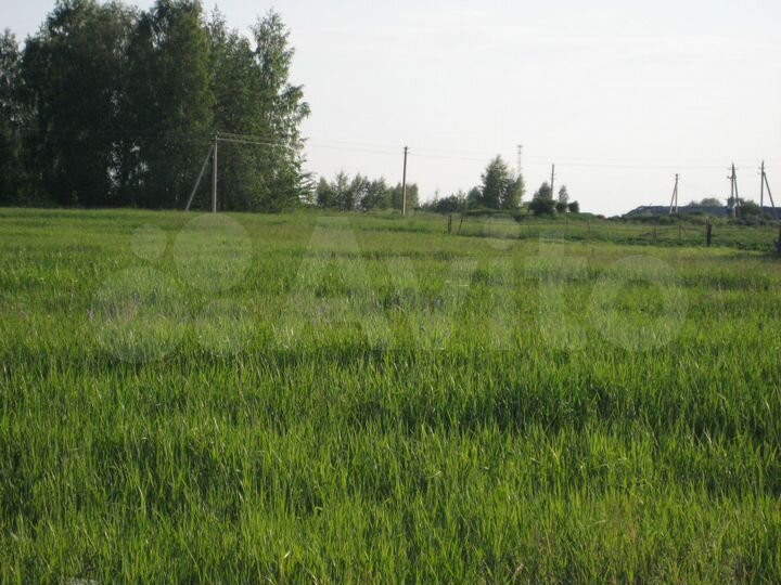 Участок 80 сот. (СНТ, ДНП)