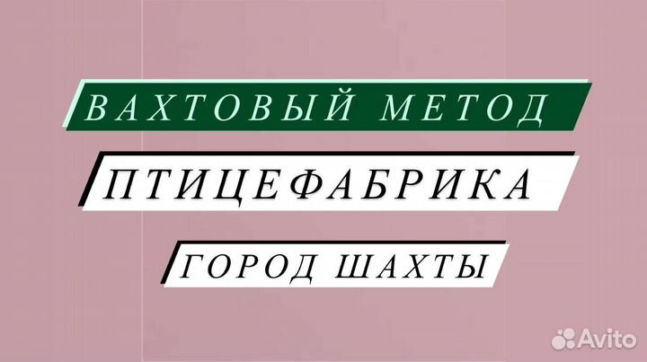 Упаковщик на птицефабрику. Вахта в Ростовской обл